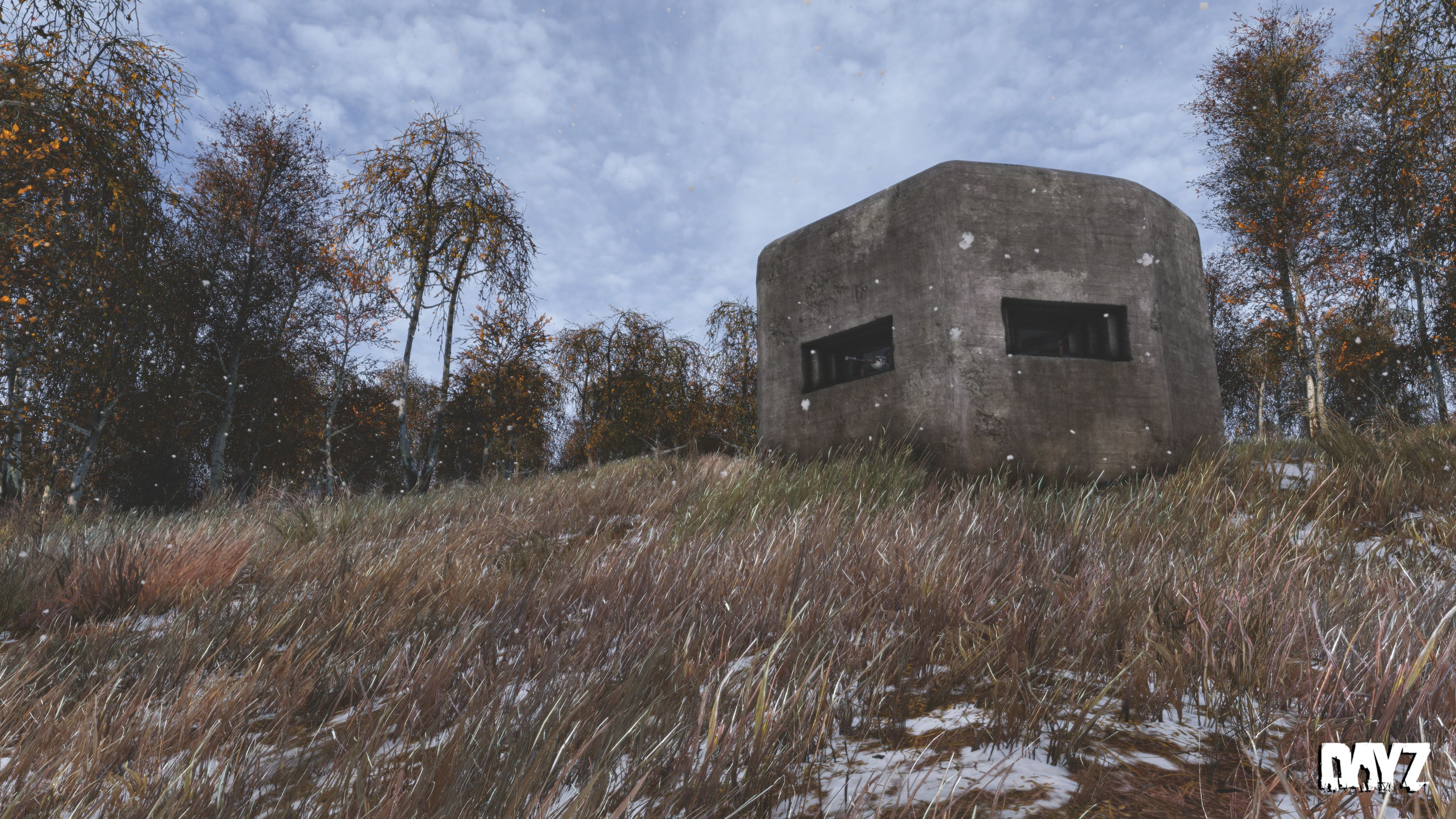 DayZ Update Image